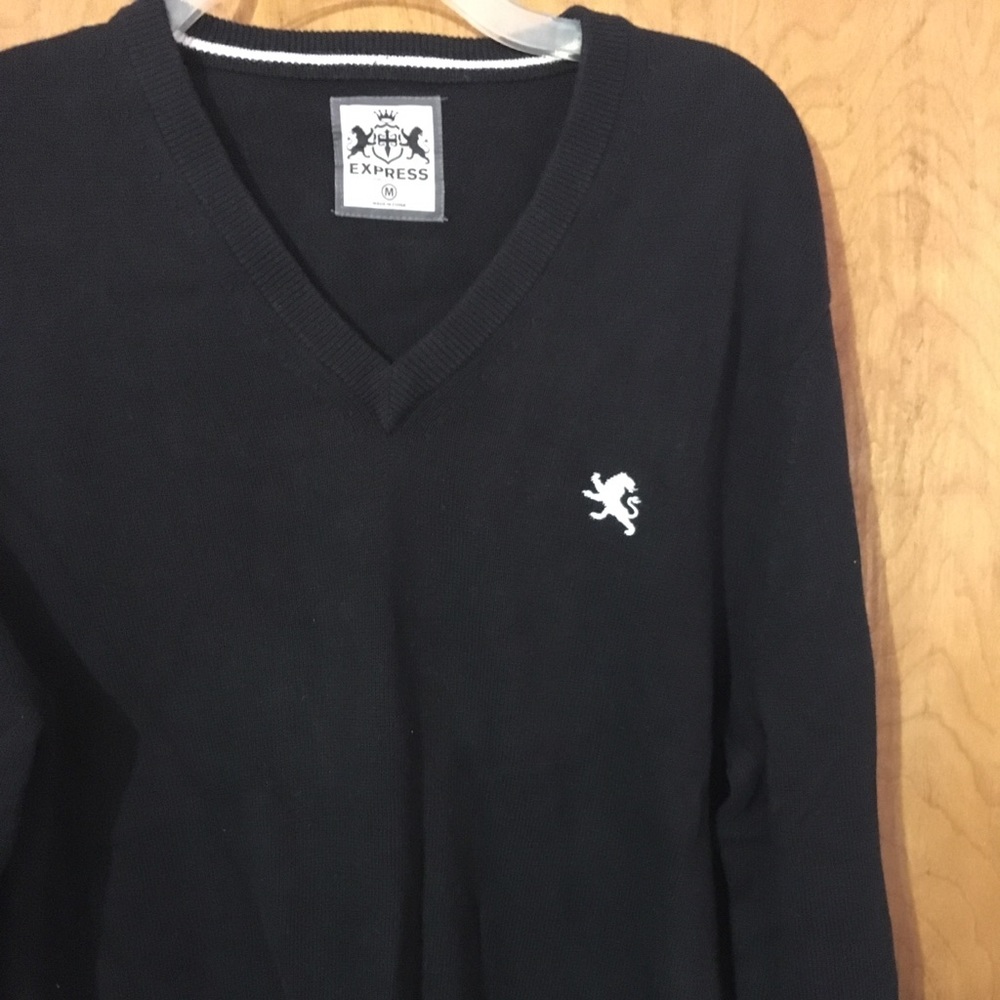 Express V neck Sweater